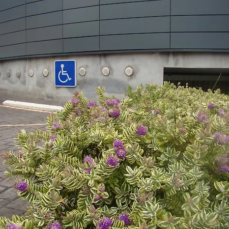 Hotel Ortuella ホテル