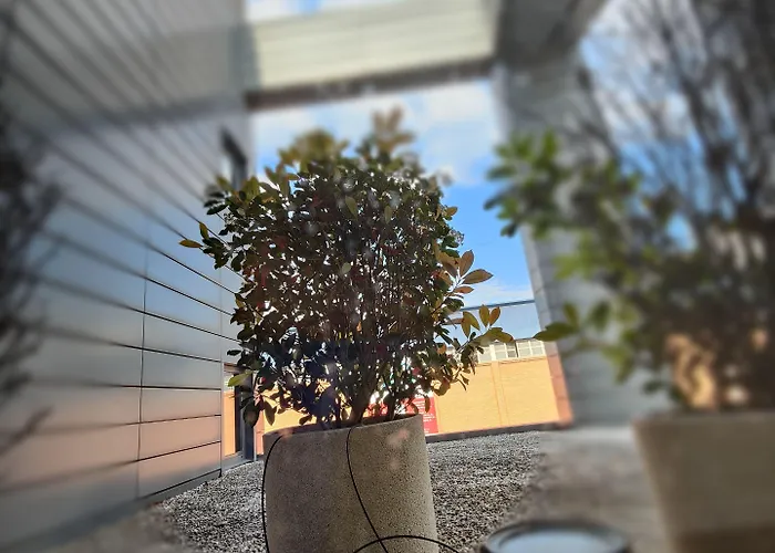 酒店 奥特拉酒店 奥图埃利亚