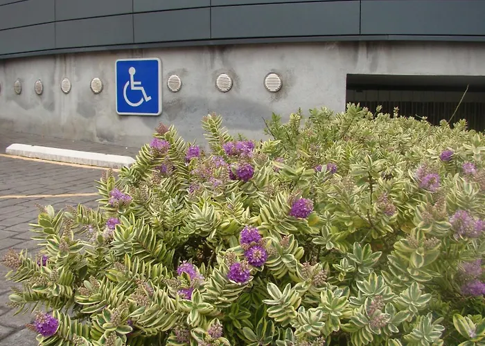 Hotel Ortuella Hotel